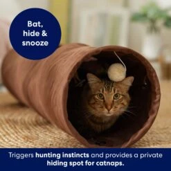 Frisco 35-in Foldable Crinkle Play Tunnel With 1 Window -Pet Toys Store 140166 PT3. AC SS1800 V1695670685