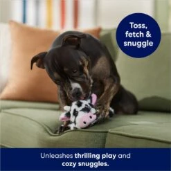 Frisco Cow Plush Squeaky Dog Toy -Pet Toys Store 147003 PT3. AC SS1800 V1686079871