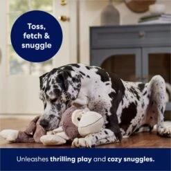 Frisco Monkey Plush Squeaky Dog Toy -Pet Toys Store 147043 PT5. AC SS1800 V1686580080