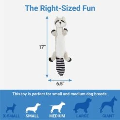 Frisco Raccoon Skinny Plush Squeaky Dog Toy 7 Frisco Raccoon Skinny Plush Squeaky Dog Toy -Pet Toys Store 147045 PT2. AC SS1800 V1539205484