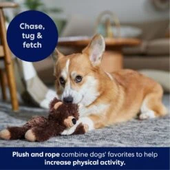Frisco Bear Plush With Inside Rope Squeaky Dog Toy -Pet Toys Store 147061 PT4. AC SS1800 V1695659155