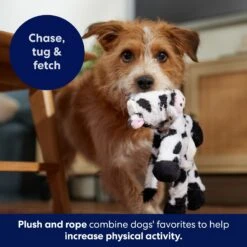 Frisco Cow Plush With Inside Rope Squeaky Dog Toy -Pet Toys Store 147063 PT5. AC SS1800 V1691776574