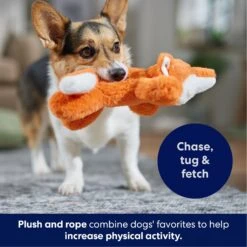 Frisco Fox Plush With Inside Rope Squeaky Dog Toy 12 Frisco Fox Plush With Inside Rope Squeaky Dog Toy -Pet Toys Store 147065 PT4. AC SS1800 V1695671059