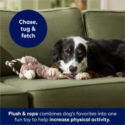 Frisco Monkey Plush With Rope Squeaky Dog Toy -Pet Toys Store 147067 PT4. AC SS1800 V1686079871