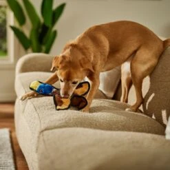 Frisco Duck Flat Plush Squeaky Dog Toy 8 Frisco Duck Flat Plush Squeaky Dog Toy -Pet Toys Store 147069 PT3. AC SS1800 V1674158058