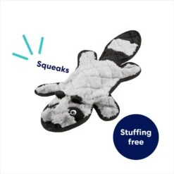 Frisco Raccoon Stuffing-Free Flat Plush Squeaky Dog Toy -Pet Toys Store 147071 PT2. AC SS1800 V1692826085