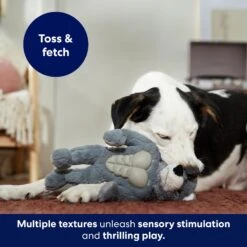 Frisco Wolf Muscle Plush Squeaky Dog Toy -Pet Toys Store 147082 PT5. AC SS1800 V1691776574