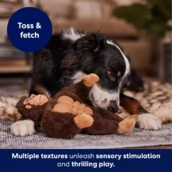 Frisco Gorilla Muscle Plush Squeaky Dog Toy -Pet Toys Store 147084 PT5. AC SS1800 V1694182068