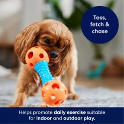 Frisco Dumbbell TPR Fetch Dog Toy -Pet Toys Store 147108 PT3. AC SS1800 V1695241969