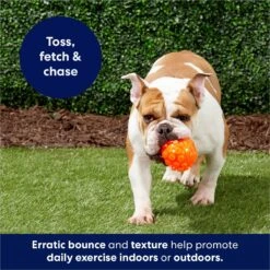 Frisco Fetch Squeaky TPR Ball Dog Toy -Pet Toys Store 152801 PT4. AC SS1800 V1686580091