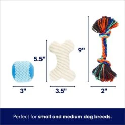 Frisco Chewy Box Hide & Seek Puzzle Plush Squeaky Dog Toy -Pet Toys Store 152808 PT2. AC SS1800 V1695659219