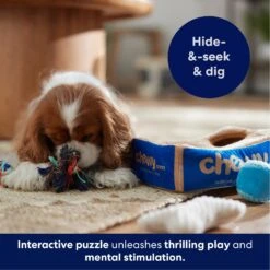 Frisco Chewy Box Hide & Seek Puzzle Plush Squeaky Dog Toy -Pet Toys Store 152808 PT5. AC SS1800 V1695670752
