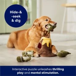 Frisco Volcano Hide & Seek Puzzle Plush Squeaky Dog Toy -Pet Toys Store 152810 PT3. AC SS1800 V1686079871