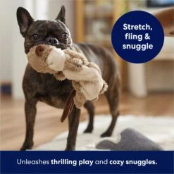 Frisco Beaver Bungee Plush Squeaky Dog Toy 12 Frisco Beaver Bungee Plush Squeaky Dog Toy -Pet Toys Store 152824 PT5. AC SS1800 V1686580146