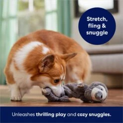 Frisco Sloth Bungee Plush Squeaky Dog Toy -Pet Toys Store 152826 PT5. AC SS1800 V1686579214