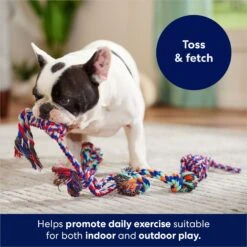 Frisco Rope Multipack Dog Toy -Pet Toys Store 152838 PT2. AC SS1800 V1686579143