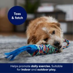 Frisco Rope With Handle & Tassels Dog Toy 8 Frisco Rope With Handle & Tassels Dog Toy -Pet Toys Store 152840 PT3. AC SS1800 V1695241916