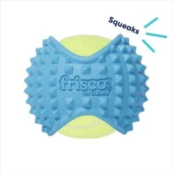 Frisco Fetch Squeaky Tennis Ball With Rubber Sleeve Dog Toy -Pet Toys Store 152844 PT2. AC SS1800 V1691776695