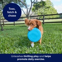 Frisco Fetch Rubber Flyer Dog Toy -Pet Toys Store 152848 PT5. AC SS1800 V1692370079