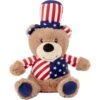 Frisco American Flag Bear Plush Squeaky Dog Toy -Pet Toys Store 157187 Main. AC SS1800 V1559764050