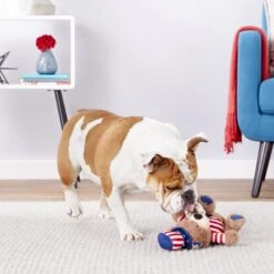Frisco American Flag Bear Plush Squeaky Dog Toy -Pet Toys Store 157187 PT2. AC SS1800 V1559764047