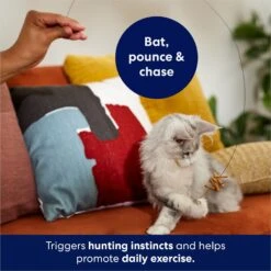 Frisco Cardboard & Wire Teaser Cat Toy -Pet Toys Store 161194 PT3. AC SS1800 V1686579092