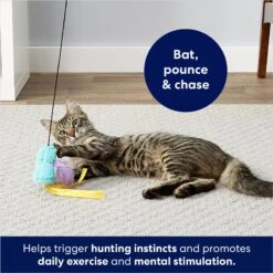 Frisco Bird With Feathers Teaser Wand Cat Toy With Catnip -Pet Toys Store 161199 PT2. AC SS1800 V1678723897