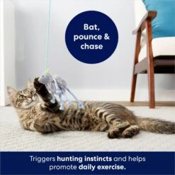 Frisco Bouncy Mouse Plush Teaser Cat Toy With Catnip -Pet Toys Store 161259 PT5. AC SS1800 V1686580155