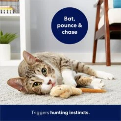 Frisco Skinny Mouse Plush Cat Toy With Catnip -Pet Toys Store 161268 PT5. AC SS1800 V1686578718