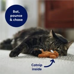 Frisco Squirrel Plush Cat Toy With Refillable Catnip -Pet Toys Store 161271 PT3. AC SS1800 V1678723897