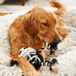 Frisco Halloween Skeleton Plush With Rope Squeaky Dog Toy -Pet Toys Store 161358 PT6. AC SS1800 V1597599370