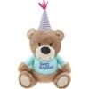 Frisco Birthday Bear Plush Squeaky Dog Toy -Pet Toys Store 162836 Main. AC SS1800 V1565379440