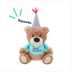 Frisco Birthday Bear Plush Squeaky Dog Toy -Pet Toys Store 162836 PT2. AC SS1800 V1695659146