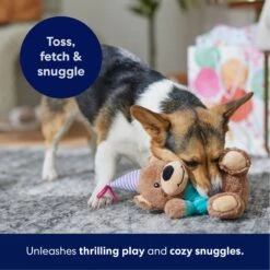 Frisco Birthday Bear Plush Squeaky Dog Toy -Pet Toys Store 162836 PT4. AC SS1800 V1695670999