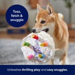 Frisco Birthday Cake Plush Squeaky Dog Toy -Pet Toys Store 162839 PT4. AC SS1800 V1695671061