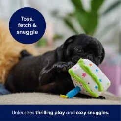 Frisco Birthday Cake Slice Plush Squeaky Dog Toy -Pet Toys Store 162906 PT4. AC SS1800 V1695671059
