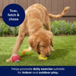 Frisco Birthday Fetch Squeaky Tennis Ball Dog Toy -Pet Toys Store 162914 PT5. AC SS1800 V1692020098