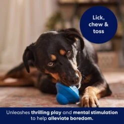 Frisco Flying Saucer Rubber Treat Dispenser Dog Toy -Pet Toys Store 164757 PT5. AC SS1800 V1691784247