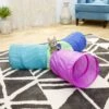 Frisco Foldable Play Tri-Tunnel Cat Toy 1 Frisco Foldable Play Tri-Tunnel Cat Toy -Pet Toys Store 166382 MAIN. AC SS1800 V1668737518