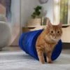 Frisco Foldable Play Tunnel With Mesh Cat Toy 2 Frisco Foldable Play Tunnel With Mesh Cat Toy -Pet Toys Store 166385 MAIN. AC SS1800 V1686579145