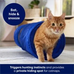 Frisco Foldable Play Tunnel With Mesh Cat Toy 8 Frisco Foldable Play Tunnel With Mesh Cat Toy -Pet Toys Store 166385 PT2. AC SS1800 V1686580143