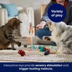 Frisco Plush, Teaser & Ball Variety Pack Cat Toy With Catnip -Pet Toys Store 169686 PT5. AC SS1800 V1691783971