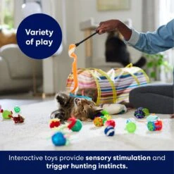 Frisco Plush, Teaser, Ball & Tunnel Variety Pack Cat Toy With Catnip 12 Frisco Plush, Teaser, Ball & Tunnel Variety Pack Cat Toy With Catnip -Pet Toys Store 169688 PT5. AC SS1800 V1691784246