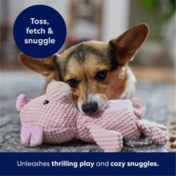 Frisco Pig Textured Plush Squeaky Dog Toy -Pet Toys Store 174695 PT4. AC SS1800 V1695670689