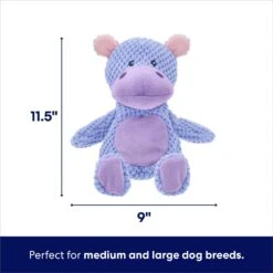 Frisco Hippo Textured Plush Squeaky Dog Toy -Pet Toys Store 174697 PT1. AC SS1800 V1695659154