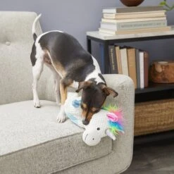 Frisco Unicorn Textured Plush Squeaky Dog Toy 7 Frisco Unicorn Textured Plush Squeaky Dog Toy -Pet Toys Store 174699 PT2. AC SS1800 V1573492386