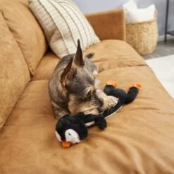 Frisco Penguin Skinny Plush Squeaky Dog Toy -Pet Toys Store 174707 PT2. AC SS1800 V1573492672