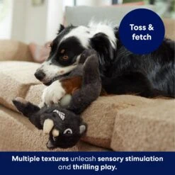 Frisco Rhino Muscle Plush Squeaky Dog Toy -Pet Toys Store 174719 PT3. AC SS1800 V1691784246