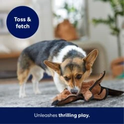 Frisco Beaver Stuffing-Free Flat Plush Squeaky Dog Toy 12 Frisco Beaver Stuffing-Free Flat Plush Squeaky Dog Toy -Pet Toys Store 174729 PT4. AC SS1800 V1695671063