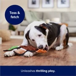 Frisco Mallard Stuffing-Free Flat Plush Squeaky Dog Toy -Pet Toys Store 174731 PT5. AC SS1800 V1686579082